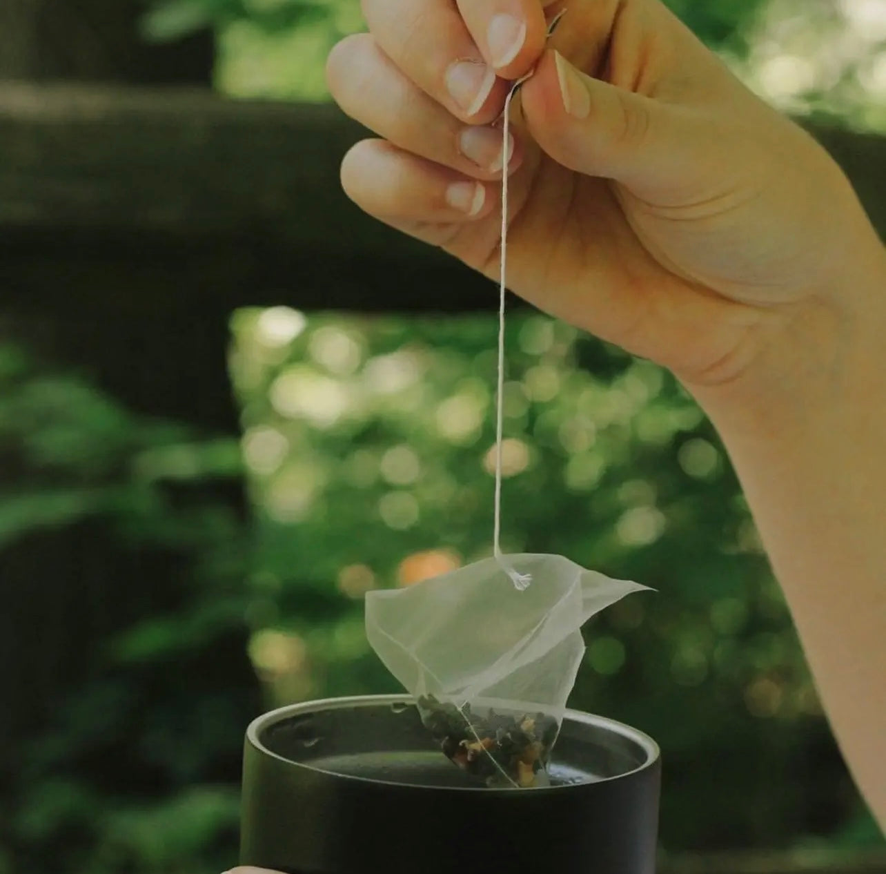 Moroccan Mint Green Tea - Individually
Wrapped Tea Bags