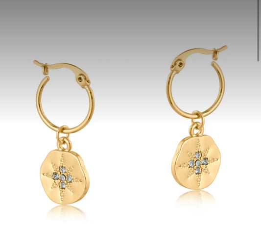 Celena Encrusted Stars Earrings